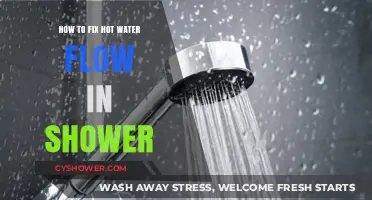 Quick Fixes for Low Hot Water Flow in Your Shower