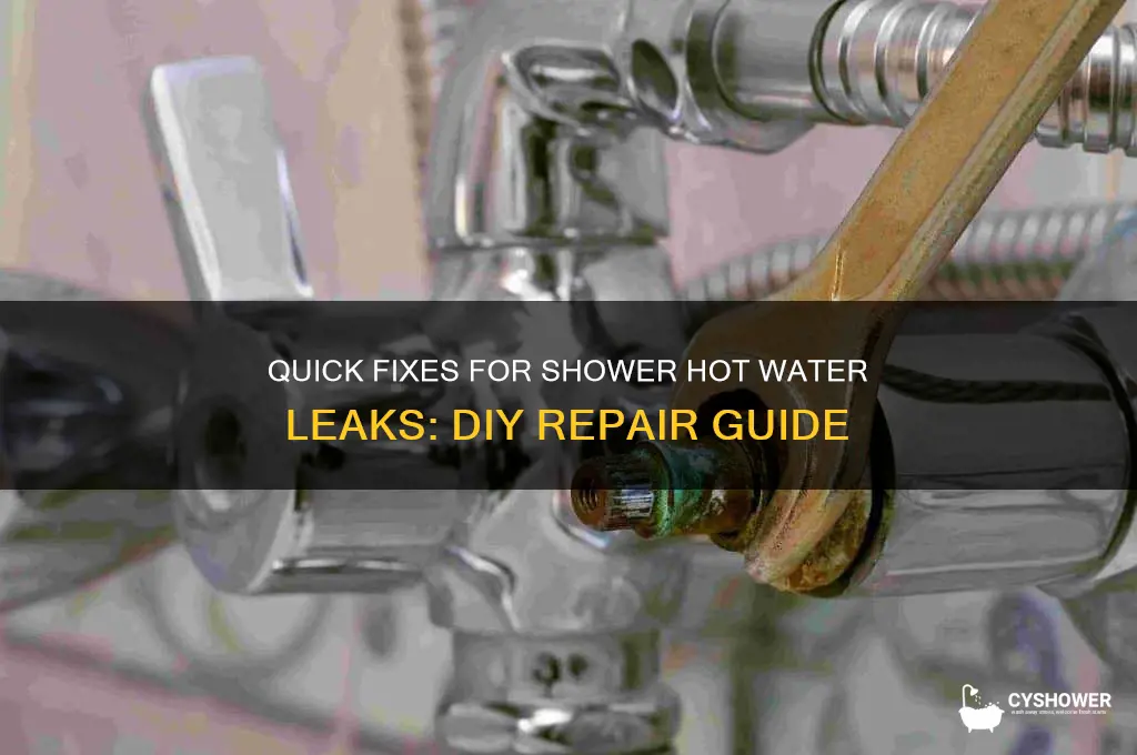 how to fix hot water leak in shower