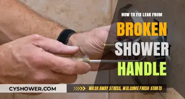 Quick DIY Fix for a Leaky Broken Shower Handle