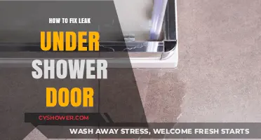 Quick Fixes for a Leaking Shower Door: DIY Solutions