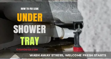 Quick Fixes for a Leaking Shower Tray: Step-by-Step Guide