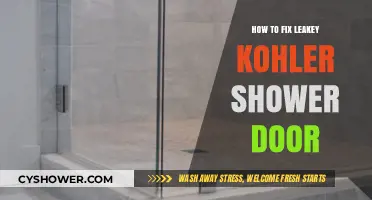 Quick Fixes for a Leaky Kohler Shower Door: DIY Guide
