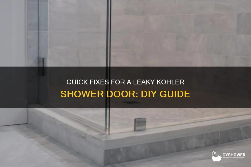 how to fix leakey kohler shower door