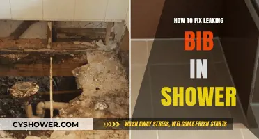 Quick DIY Guide to Fixing a Leaking Shower Bib