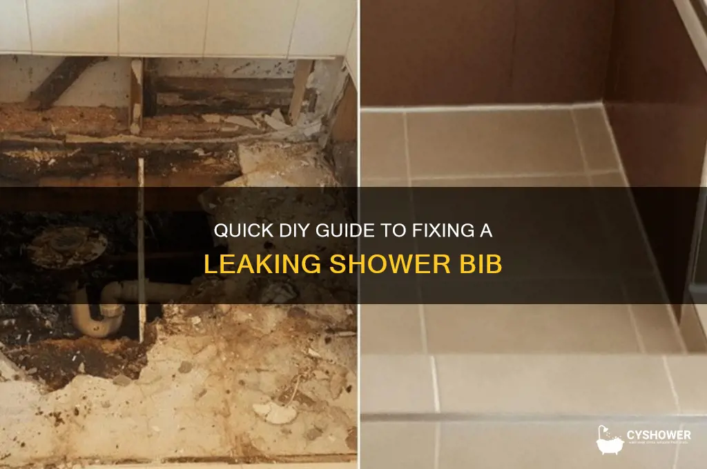 how to fix leaking bib in shower