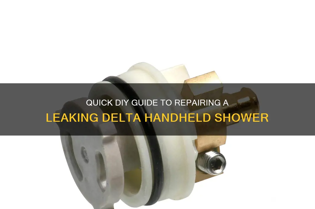 how to fix leaking delta hand held shower