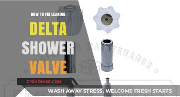 Quick Guide to Repairing a Leaking Delta Shower Valve