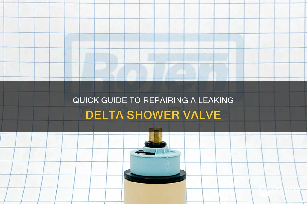 how to fix leaking delta shower valve