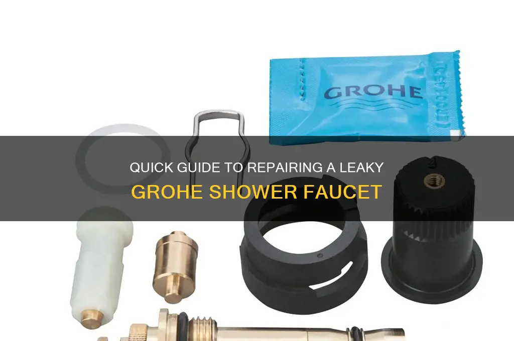 how to fix leaking grohe shower faucet