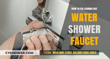 Quick DIY Guide to Repairing a Leaky Hot Water Shower Faucet