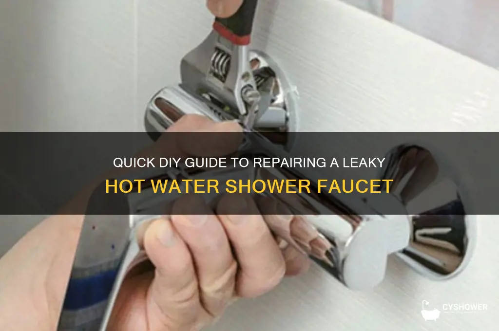how to fix leaking hot water shower faucet