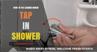 Quick DIY Guide to Repairing a Leaky Shower Mixer Tap