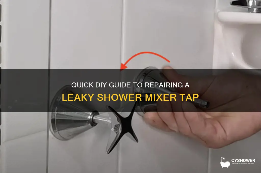 how to fix leaking mixer tap in shower
