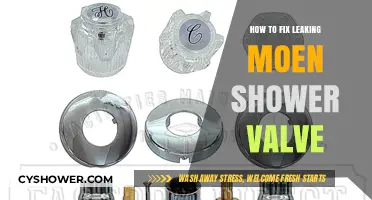 Fix Your Leaking Moen Shower Valve: Step-by-Step Repair Guide