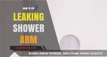 Quick DIY Guide: Fixing a Leaking Shower Arm Easily