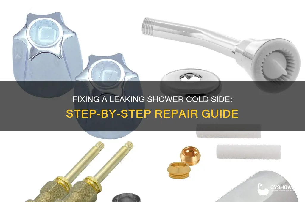 how to fix leaking shower cold side