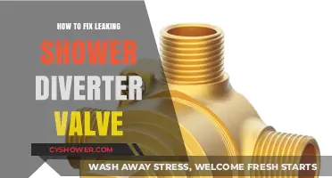 Fix Your Leaking Shower Diverter Valve: Step-by-Step Repair Guide