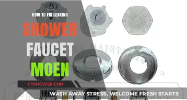 Quick Guide to Repairing a Leaky Moen Shower Faucet