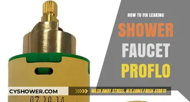 Quick Guide to Repairing a Leaking Proflo Shower Faucet