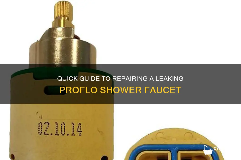 how to fix leaking shower faucet proflo