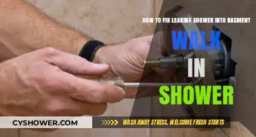 Fix Leaking Shower into Basement Walk-In: Step-by-Step Repair Guide