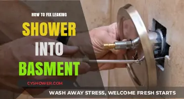 Stop Basement Flooding: Effective Ways to Fix a Leaking Shower