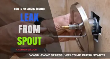 Quick DIY Guide to Fixing a Leaking Shower Spout