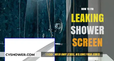 Quick Fixes for a Leaking Shower Screen: DIY Repair Guide