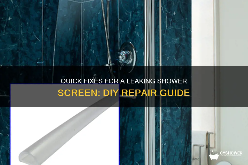 how to fix leaking shower screen