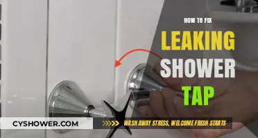Quick DIY Guide to Fixing a Leaking Shower Tap Easily