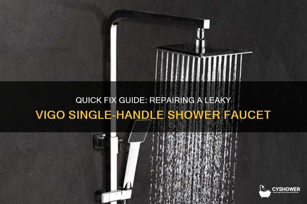 how to fix leaking single handle shower vigo faucet