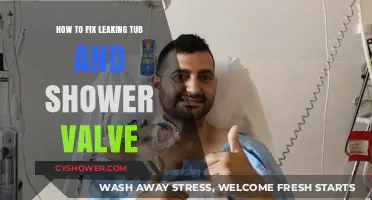 Quick DIY Guide to Repairing Leaking Tub and Shower Valves
