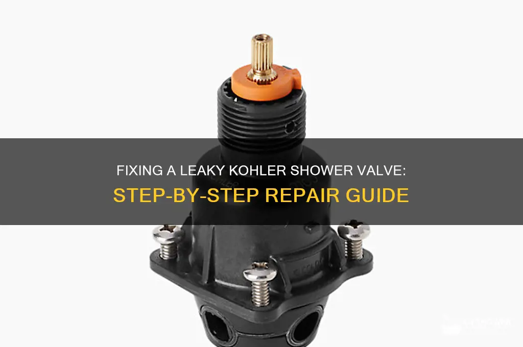 how to fix leaky kohler shower valve