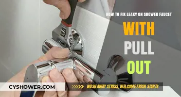 Quick Fix: Repairing a Leaky Pull-Out Shower Faucet Easily