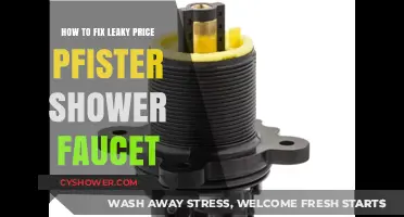 Quick Fix for Leaky Price Pfister Shower Faucet: DIY Guide