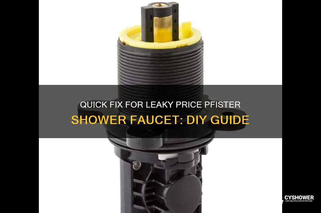 how to fix leaky price pfister shower faucet