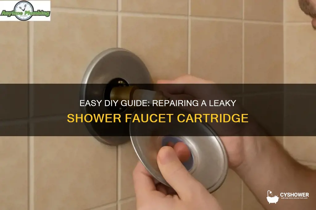 how to fix leaky shower faucet cartridge