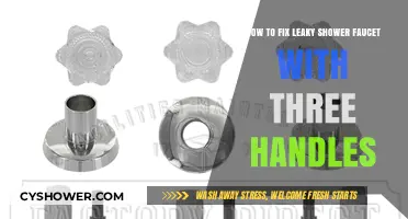 Step-by-Step Guide to Repairing a Three-Handle Leaky Shower Faucet