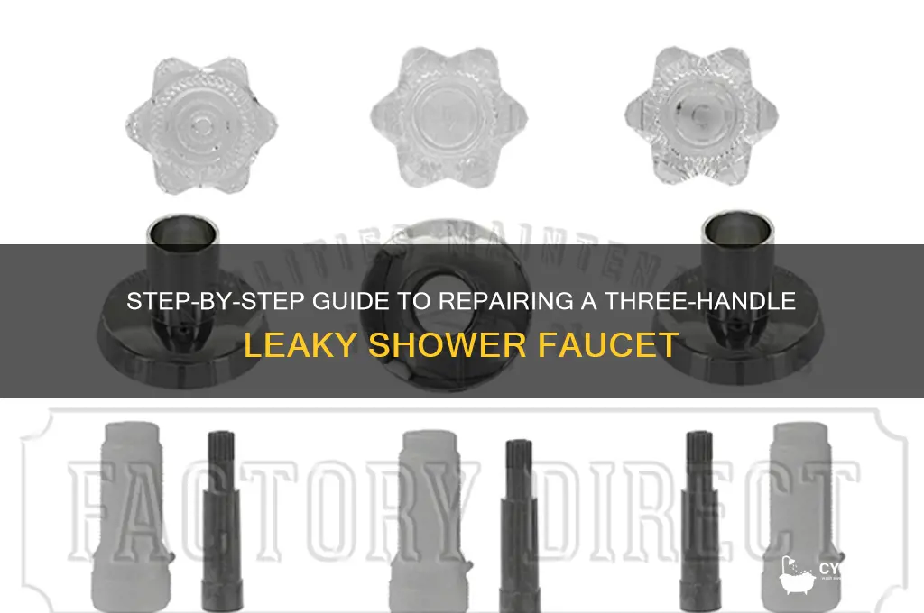 how to fix leaky shower faucet with three handles