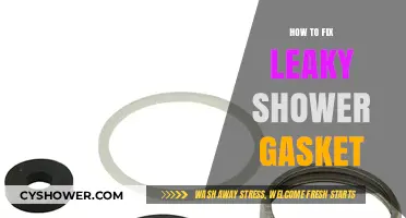 Fixing a Leaky Shower Gasket: Easy DIY Repair Guide