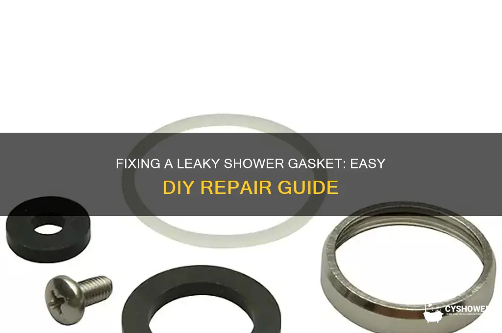 how to fix leaky shower gasket