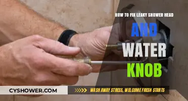 Quick Fixes for Leaky Shower Heads and Water Knobs