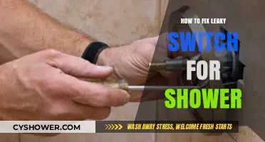 Quick DIY Guide: Repairing a Leaky Shower Switch Easily