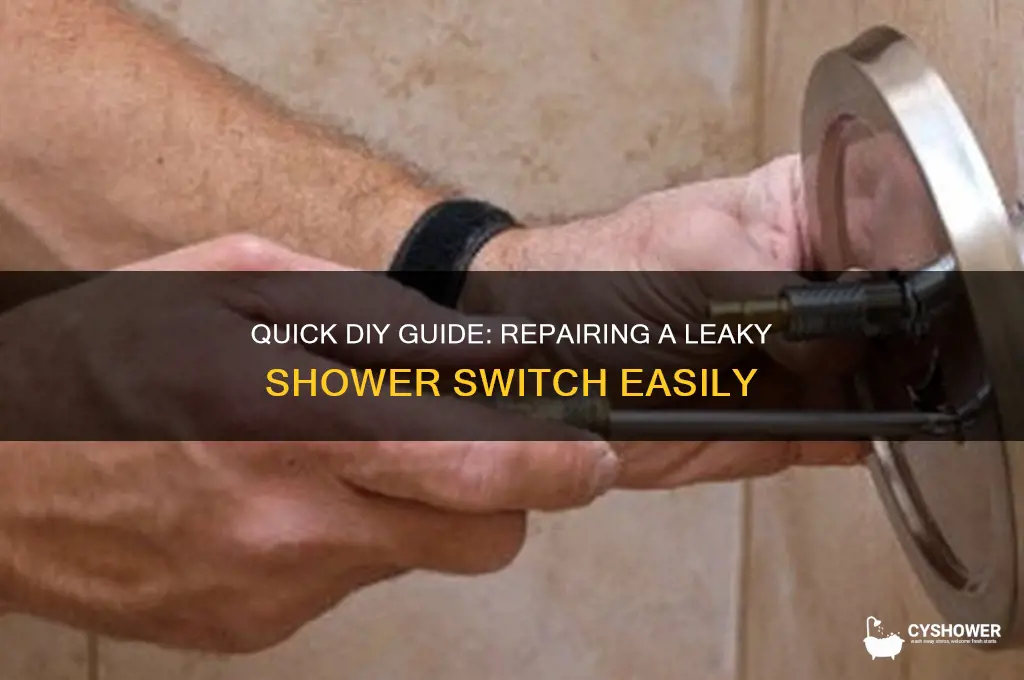 how to fix leaky switch for shower