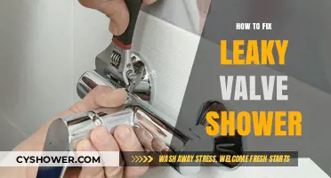 Quick DIY Guide to Fixing a Leaky Shower Valve Easily