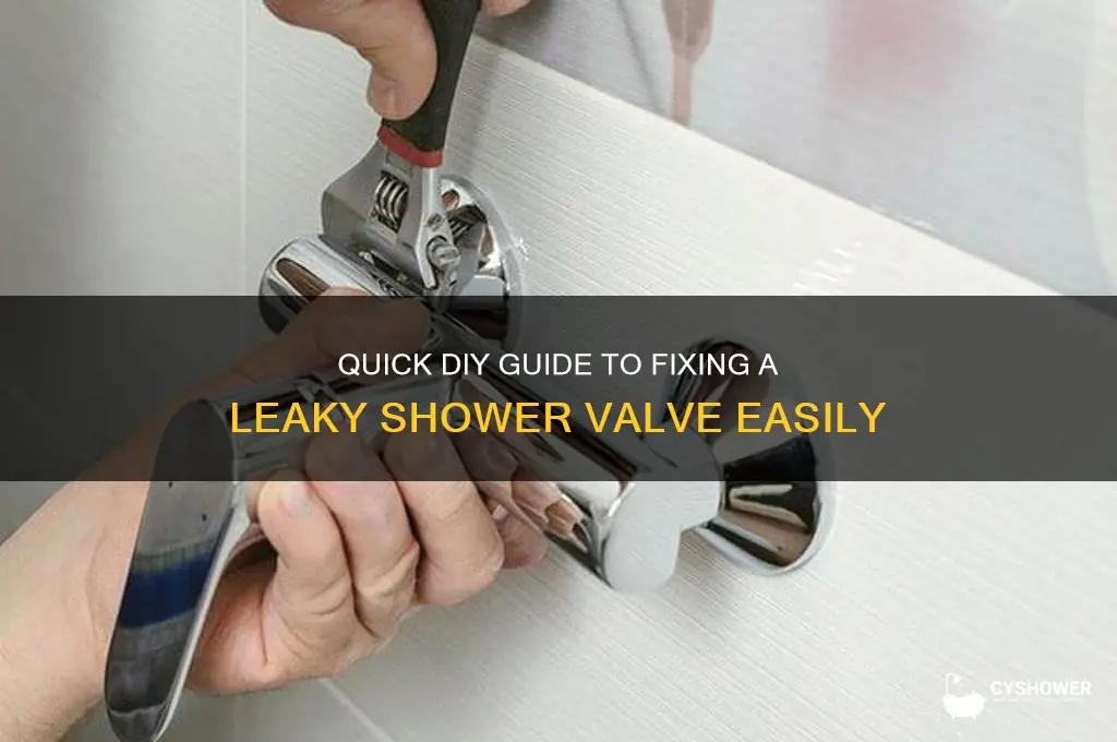 how to fix leaky valve shower