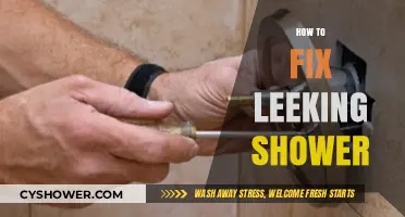 Stop Shower Leaks: Quick Fixes and DIY Repair Guide