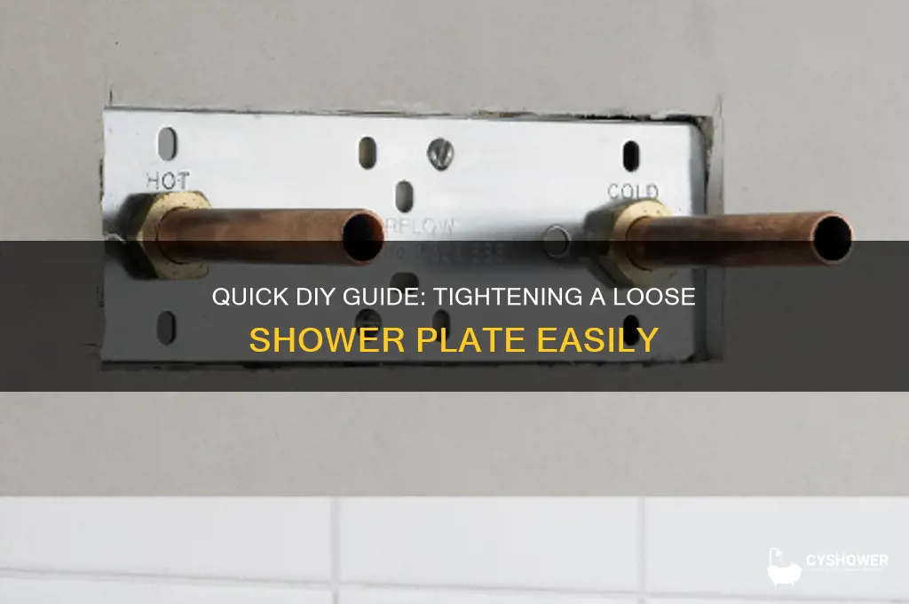 how to fix loose shower plate