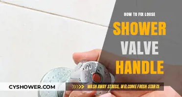 Quick DIY Guide to Tightening a Loose Shower Valve Handle