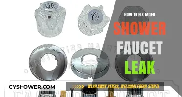 Quick Guide to Repairing a Leaky Moen Shower Faucet